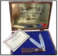 Sears_100th_Camillus