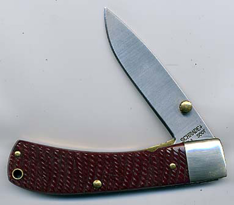 sckn 55ot red bone sample