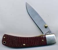 sckn 55ot red bone sample