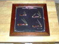 Picture-10