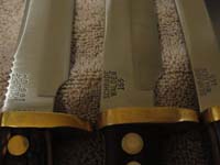 165 Walden Tangs B