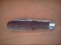 imperial hickory elect.