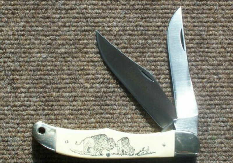 1982Bison3